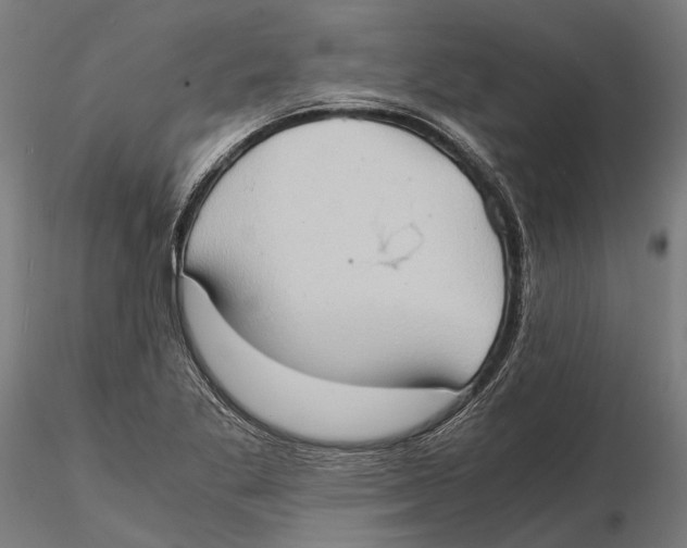 X0000115511269200912041053