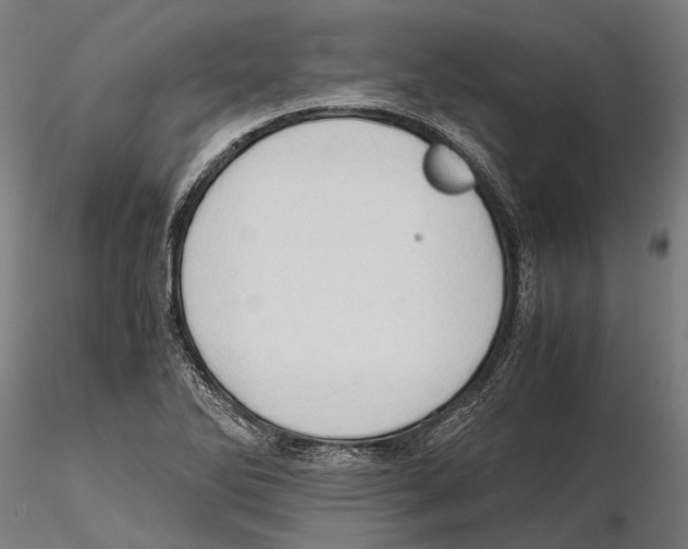 X0000115511270200912041053