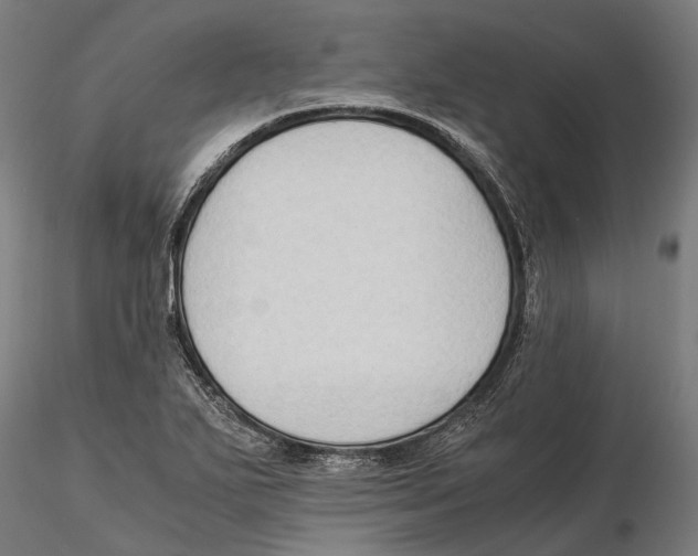 X0000115511271200912041053