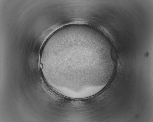 X0000115511276200912041053