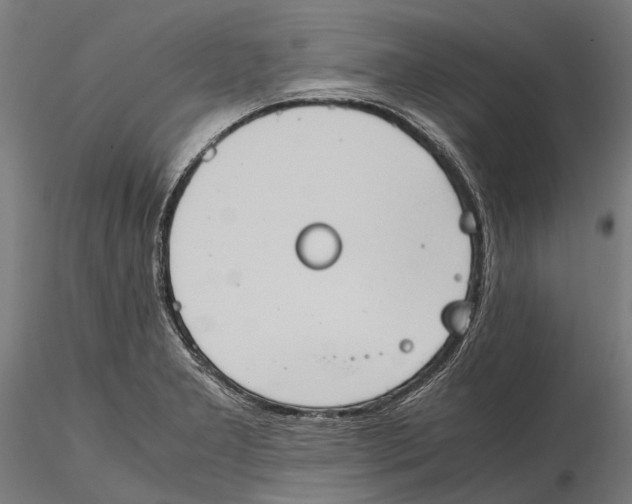 X0000115511277200912041053