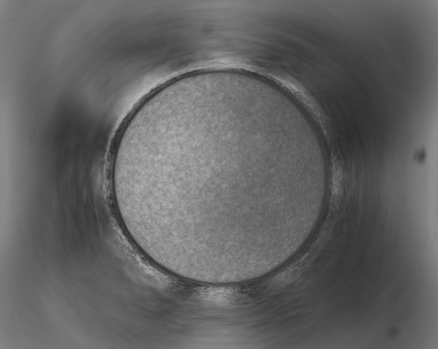 X0000115511278200912041053