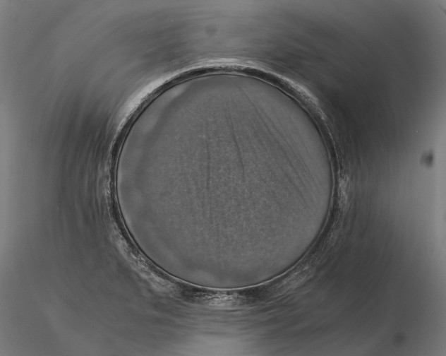 X0000115511279200912041053