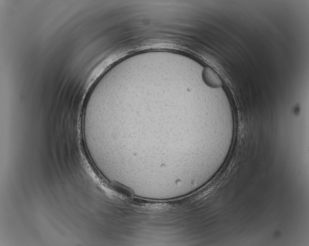 X0000115511282200912041053