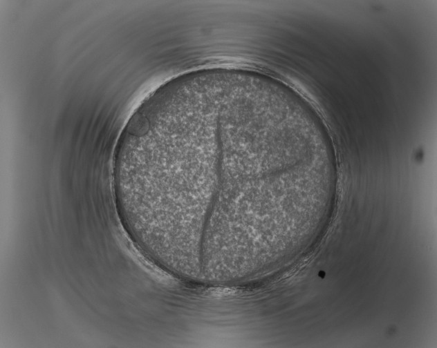 X0000115511283200912041053