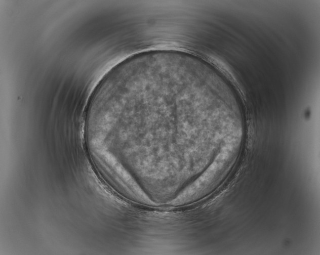 X0000115511284200912041053