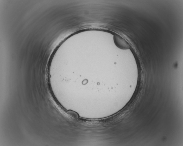 X0000115511285200912041053