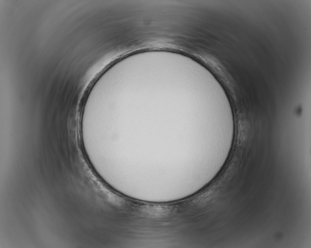 X0000115511286200912041053