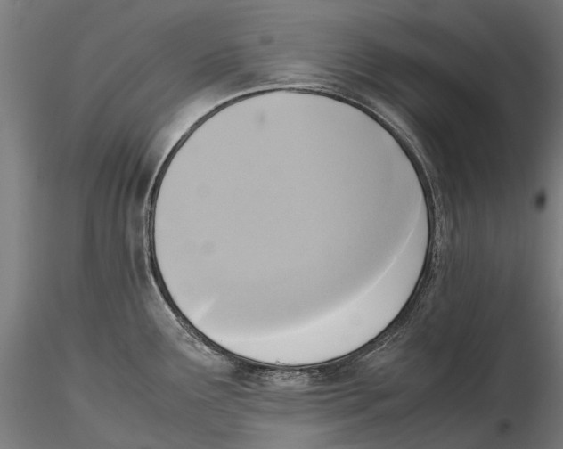 X0000115511291200912041053