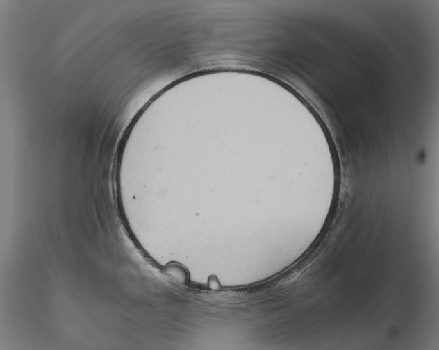 X0000115511293200912041053