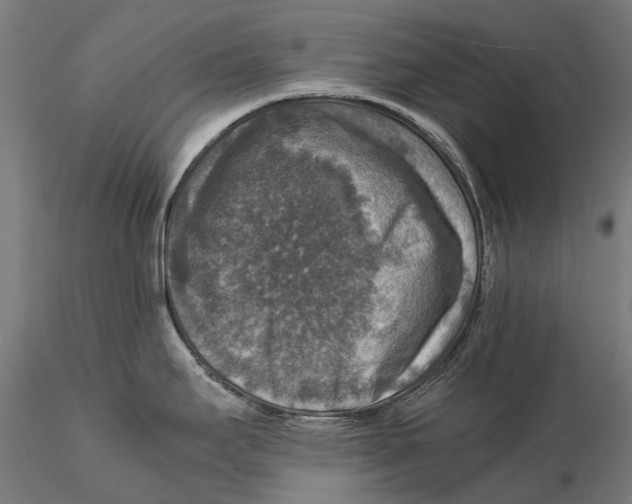 X0000115511295200912041053