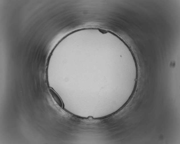 X0000115511296200912041053