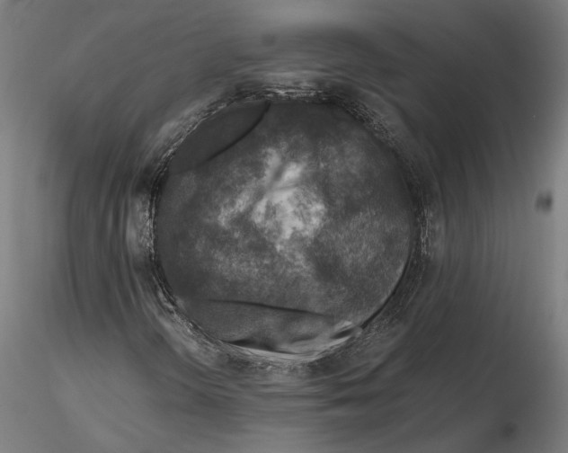 X0000115511298200912041052