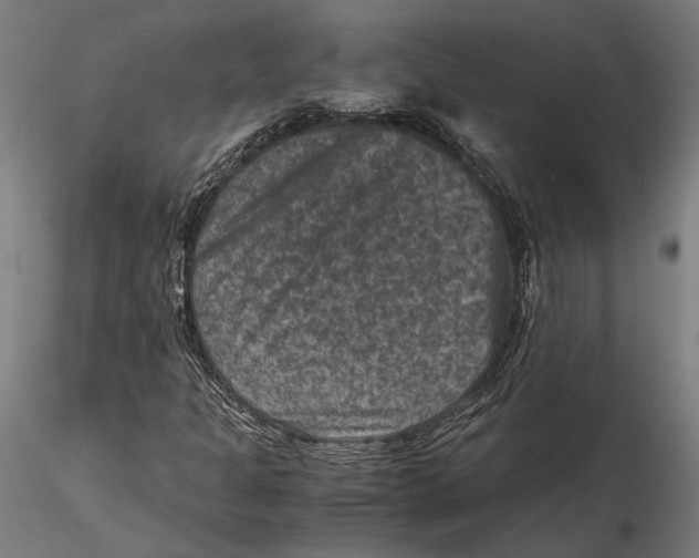 X0000115511301200912041052