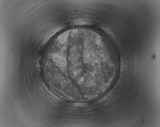 X0000115511305200912041052