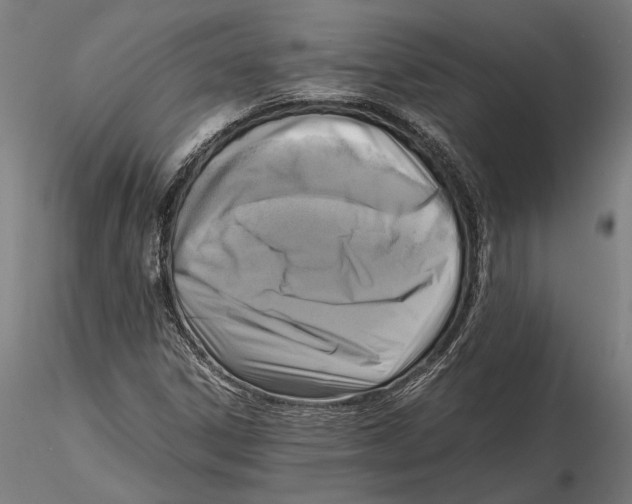 X0000115511306200912041052