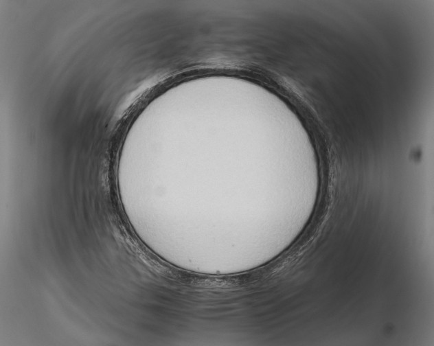 X0000115511307200912041052