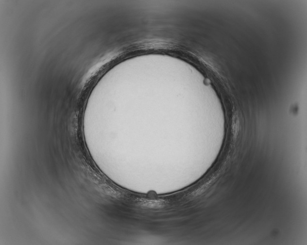 X0000115511309200912041052