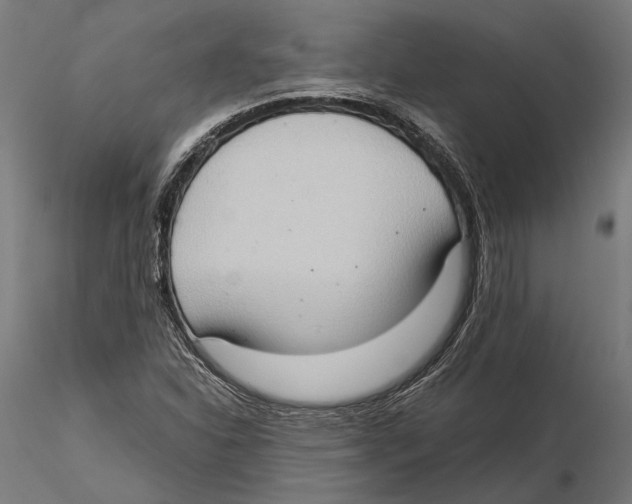 X0000115511310200912041052