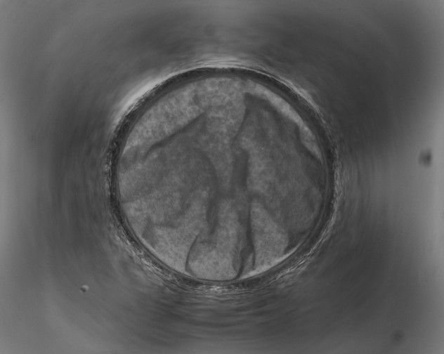 X0000115511311200912041052