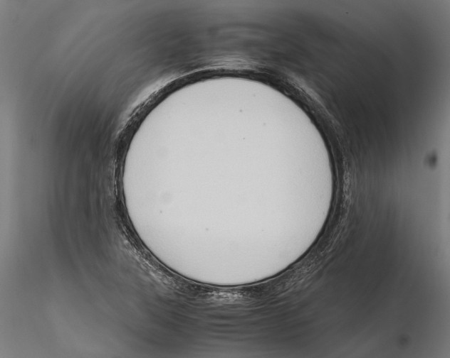 X0000115511315200912041052