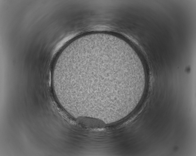 X0000115511317200912041052