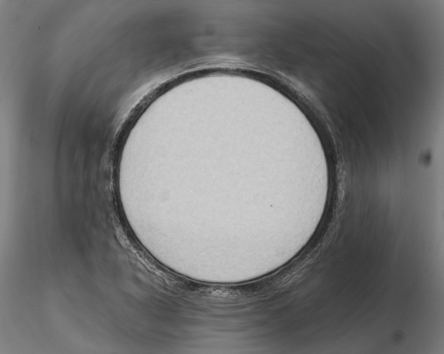 X0000115511318200912041052