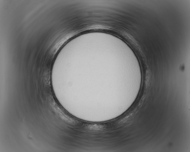 X0000115511321200912041052