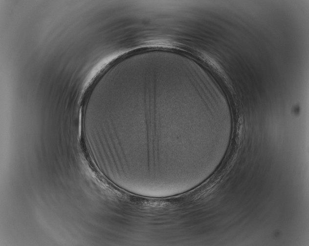 X0000115511323200912041052