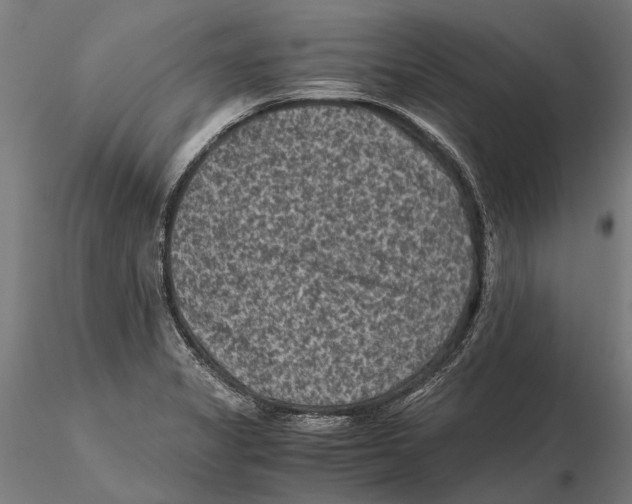 X0000115511325200912041052