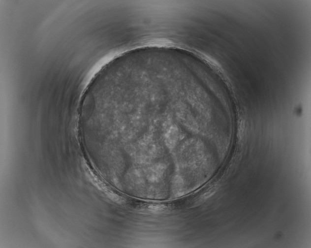 X0000115511326200912041052