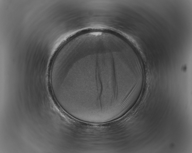 X0000115511327200912041053