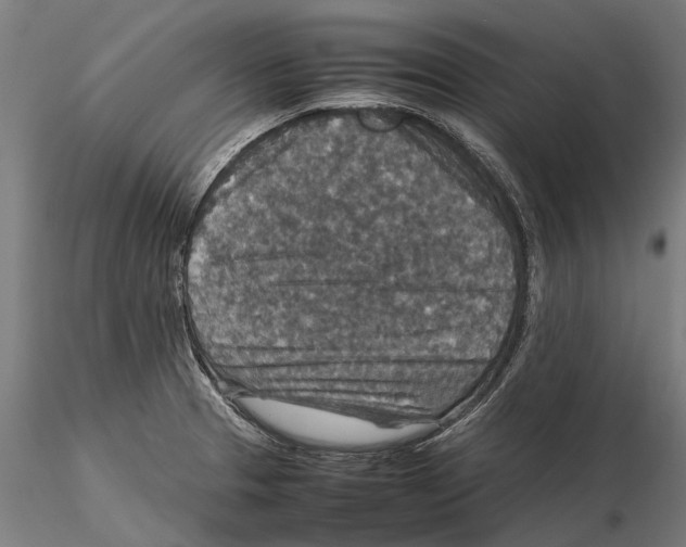 X0000115511329200912041053