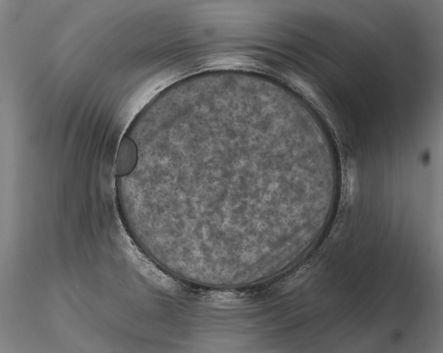 X0000115511330200912041053