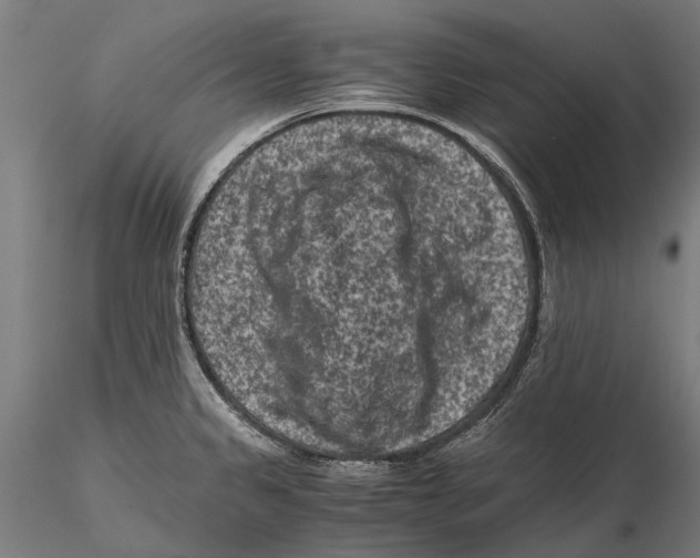 X0000115511333200912041053