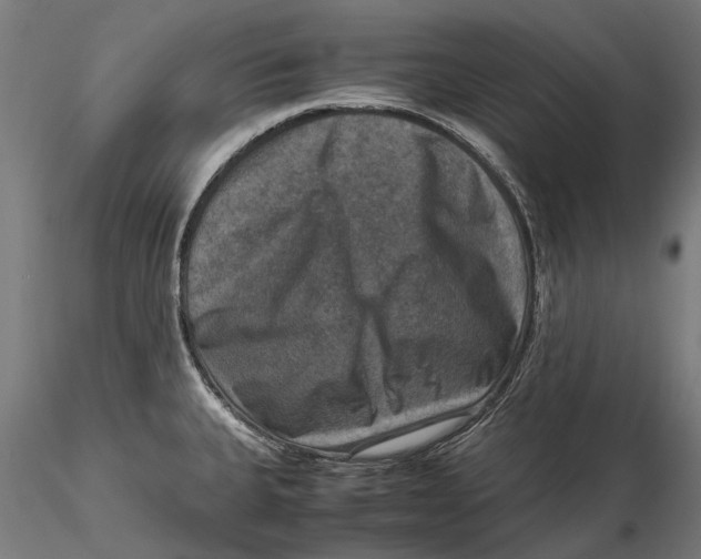 X0000115511335200912041053