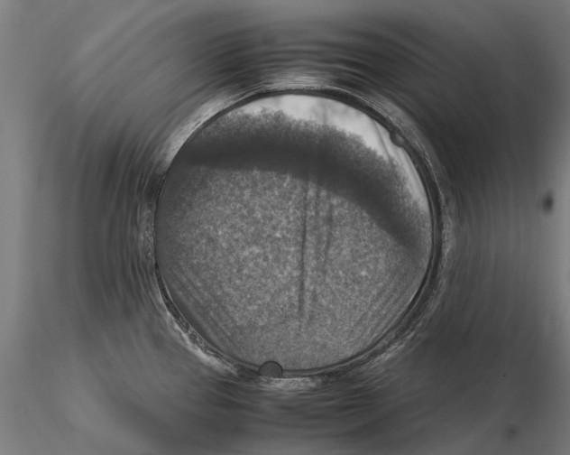 X0000115511337200912041053