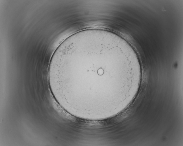 X0000115511338200912041053