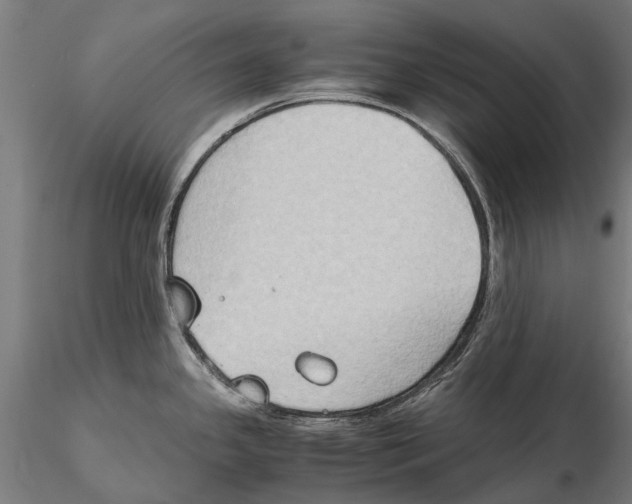 X0000115511341200912041053