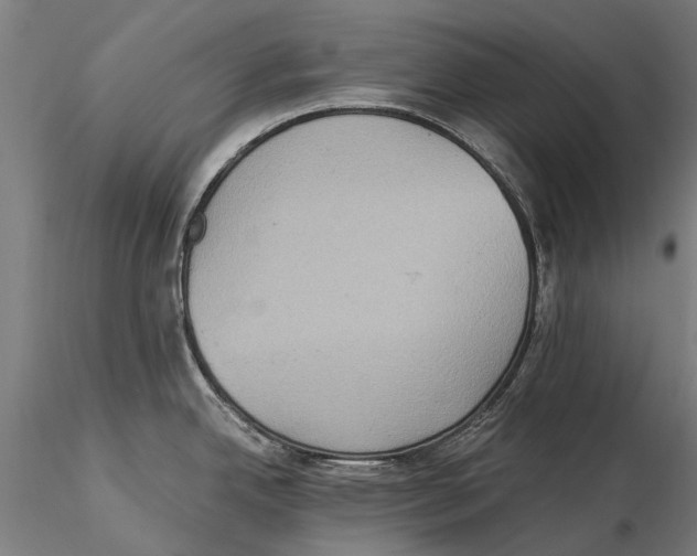 X0000115511342200912041053