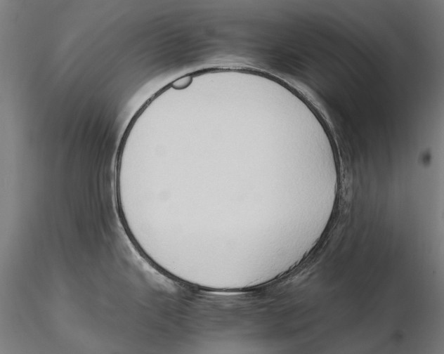 X0000115511343200912041053