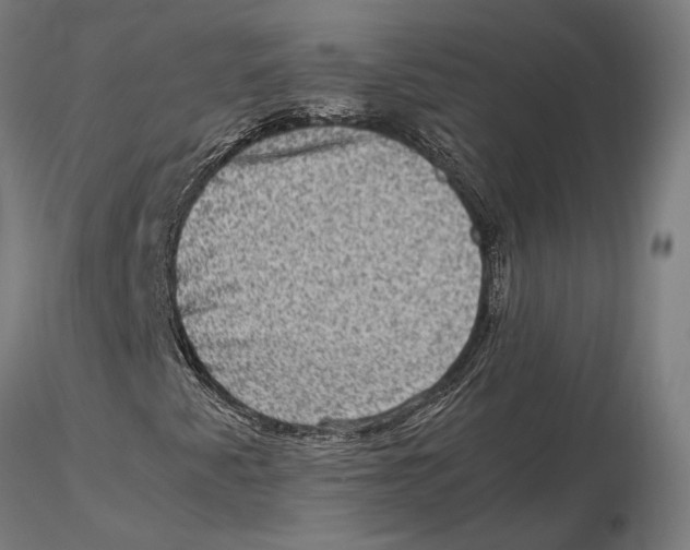 X0000115511345200912041052