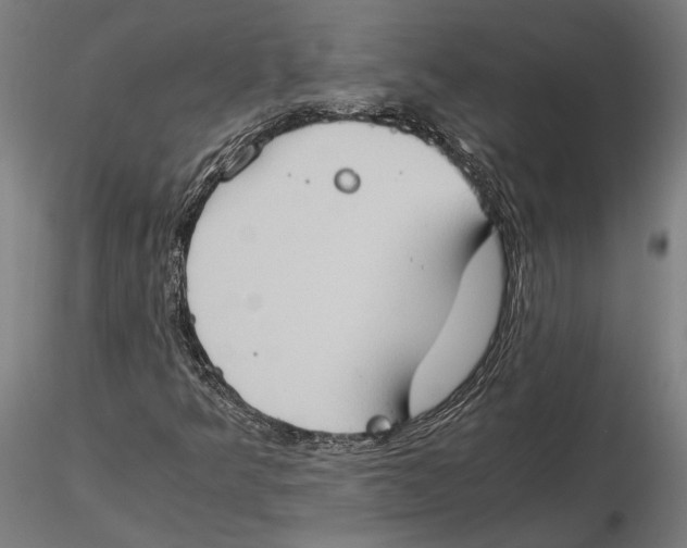 X0000115511349200912041052