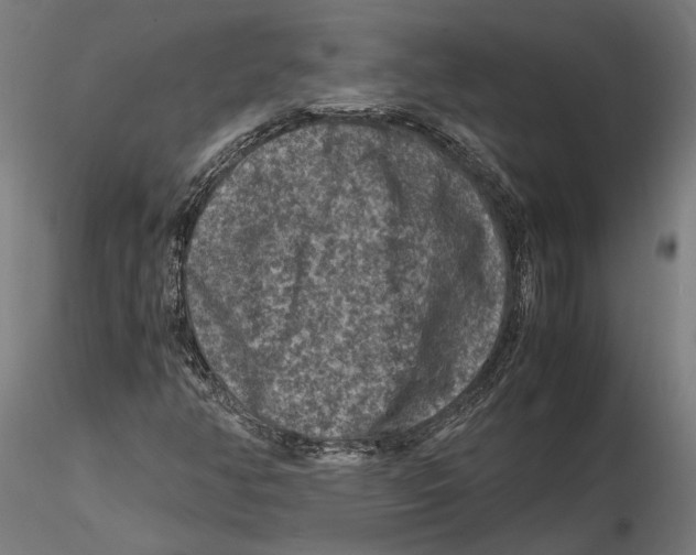 X0000115511350200912041052