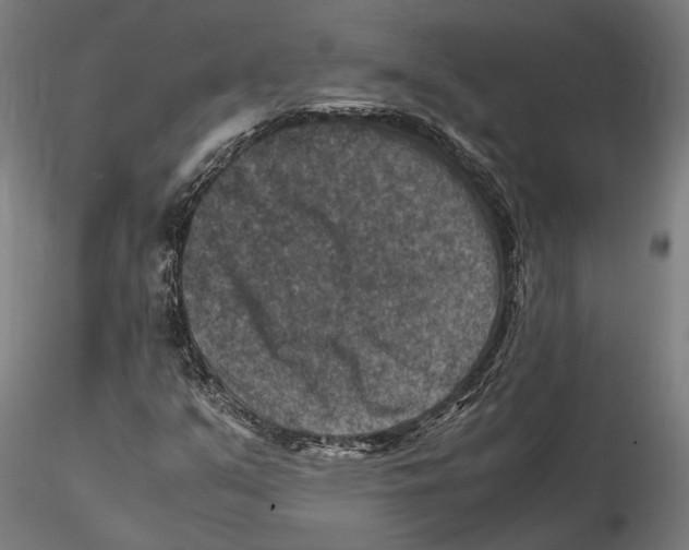 X0000115511351200912041052