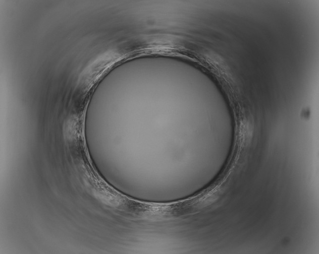 X0000115511353200912041052