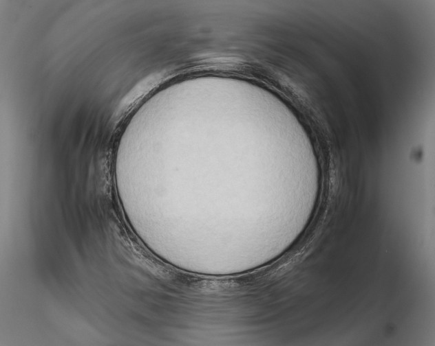 X0000115511354200912041052