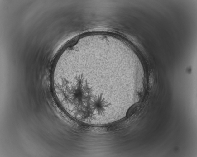 X0000115511356200912041052