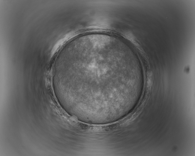 X0000115511357200912041052