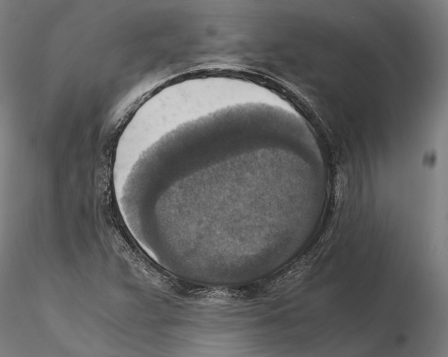 X0000115511359200912041052